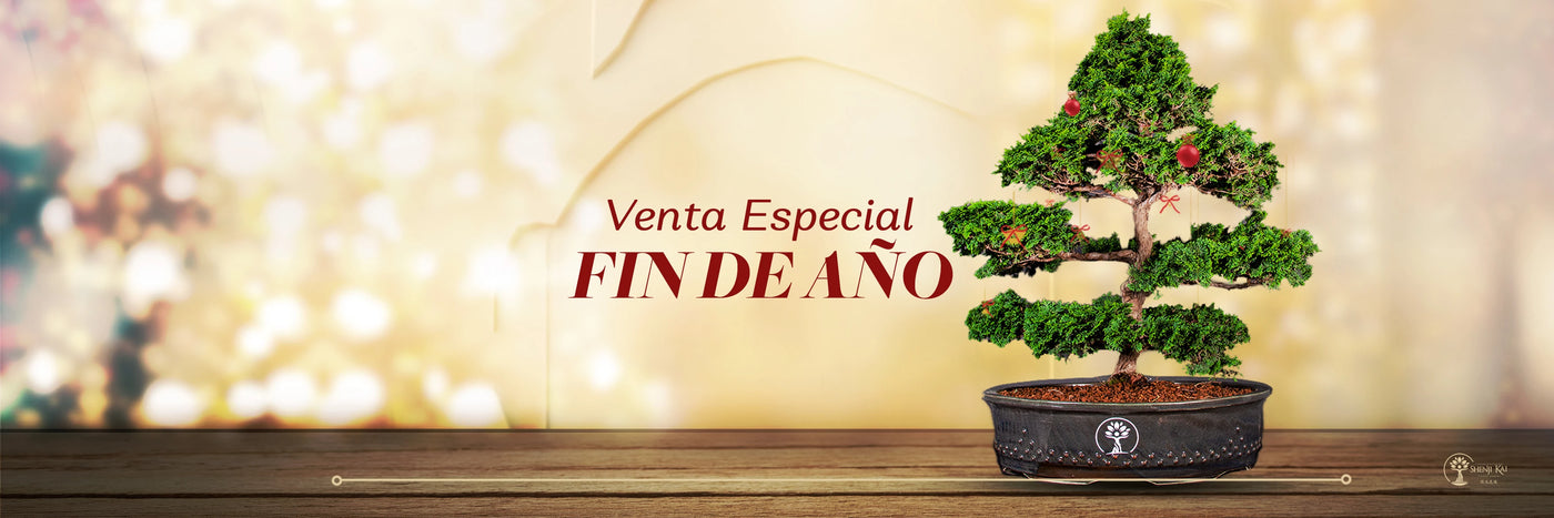 Ofertas Destacadas